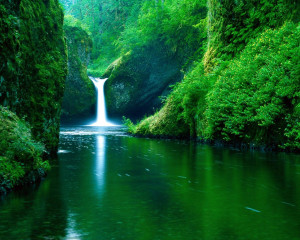 Green-Nature-Eco-Friendly-Wallpapers-Large-11