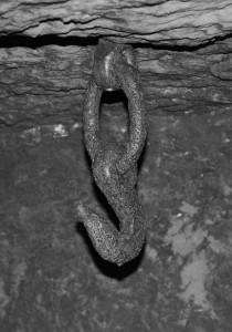 IMG_4363