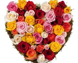 Il y aura toujours de l'amour