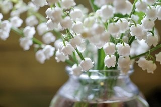 1er mai, jour du muguet - l’histoire derrière la fleur