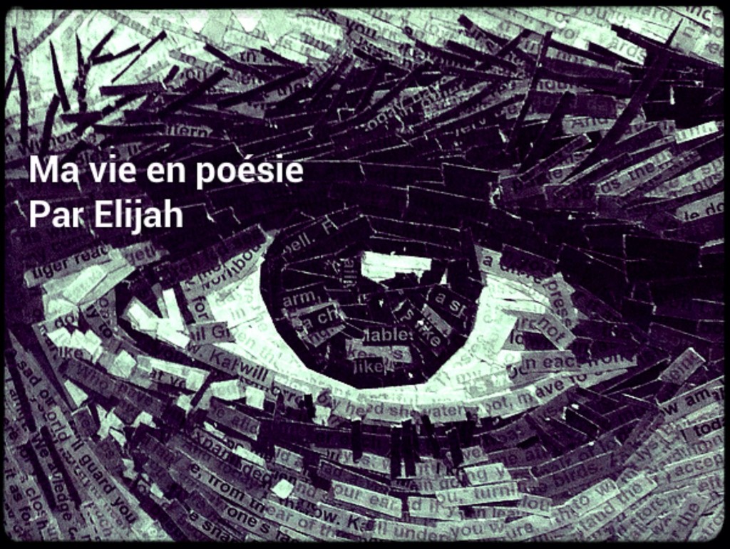 Ma vie en poésie