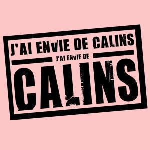 jaienviedecalins
