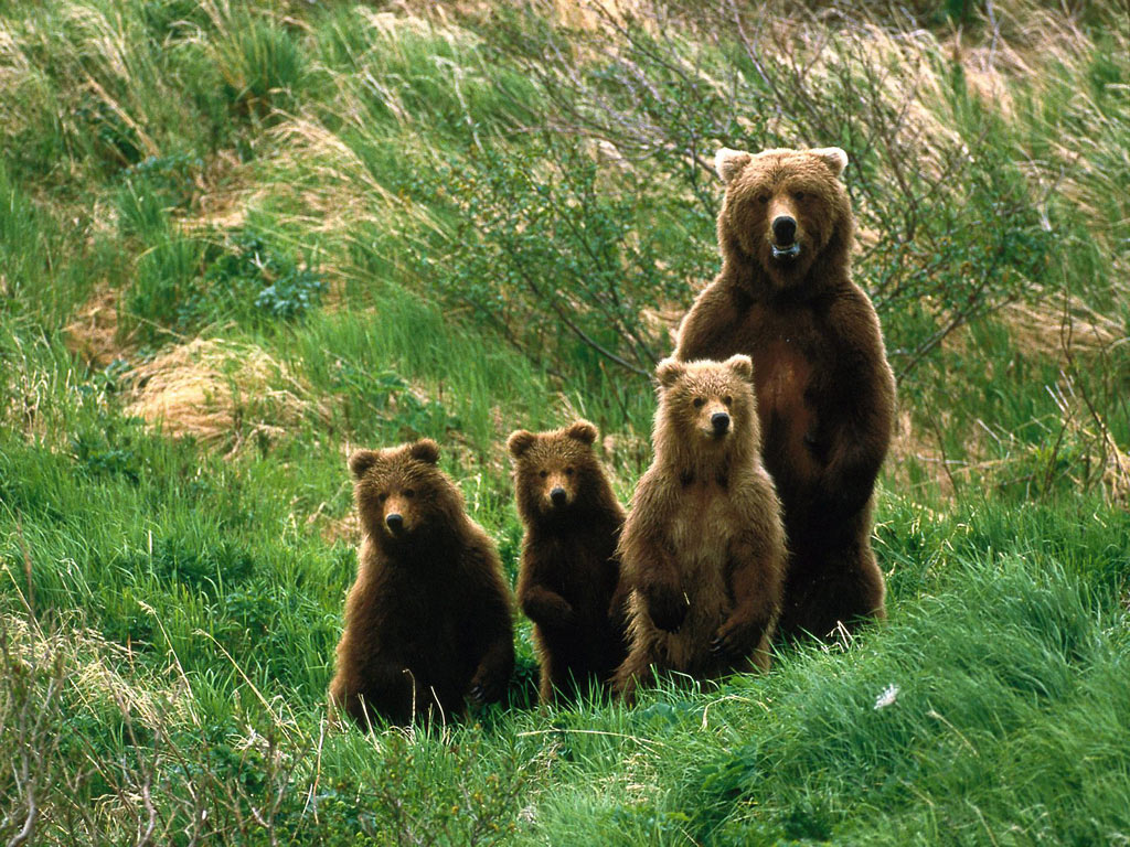 ours