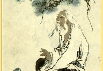 L'élégance du singe